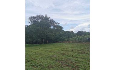 VENDO FINCA DE 73 HECTAREAS CON EQUIPOS DE LECHERIA SAN JUAN