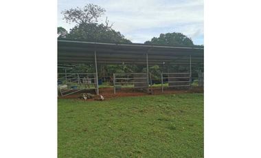 VENDO FINCA DE 73 HECTAREAS CON EQUIPOS DE LECHERIA SAN JUAN