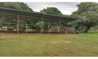 VENDO FINCA DE 73 HECTAREAS CON EQUIPOS DE LECHERIA SAN JUAN