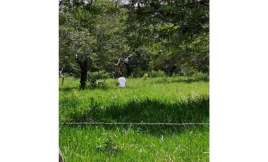 VENDO FINCA DE 73 HECTAREAS CON EQUIPOS DE LECHERIA SAN JUAN