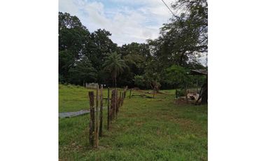 VENDO FINCA DE 73 HECTAREAS CON EQUIPOS DE LECHERIA SAN JUAN
