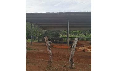 VENDO FINCA DE 73 HECTAREAS CON EQUIPOS DE LECHERIA SAN JUAN