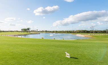 Terreno en venta merida  Provincia Golf Club