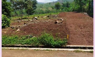 Akses Mudah Kapling Tanah Cicalengka Bandung 100 Jutaan