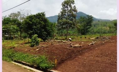 Akses Mudah Kapling Tanah Cicalengka Bandung 100 Jutaan