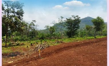 Akses Mudah Kapling Tanah Cicalengka Bandung 100 Jutaan