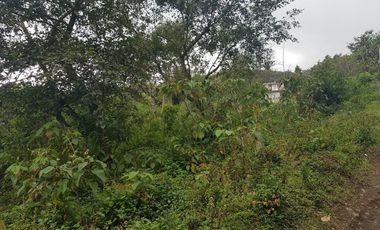 Terreno en venta en Tlacolulan