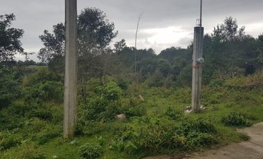 Terreno en venta en Tlacolulan