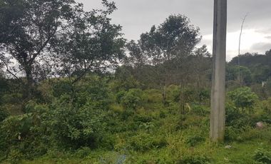 Terreno en venta en Tlacolulan