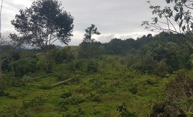 Terreno en venta en Tlacolulan
