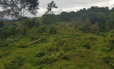 Terreno en venta en Tlacolulan