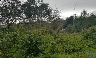 Terreno en venta en Tlacolulan