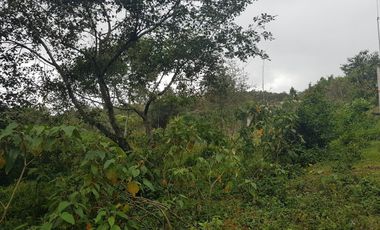 Terreno en venta en Tlacolulan