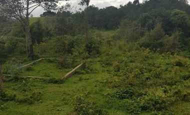 Terreno en venta en Tlacolulan