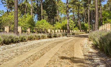 TERRENO EN VENTA EN BOSQUES DE LA CAÑADA, TAPALPA