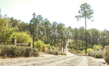 TERRENO EN VENTA EN BOSQUES DE LA CAÑADA, TAPALPA