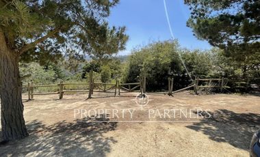 Algarrobo, Hermoso Terreno Urbanizado