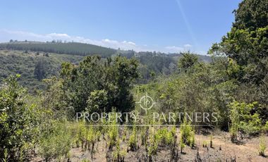 Algarrobo, Hermoso Terreno Urbanizado