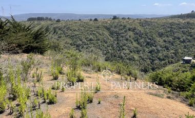 Algarrobo, Hermoso Terreno Urbanizado