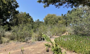 Algarrobo, Hermoso Terreno Urbanizado