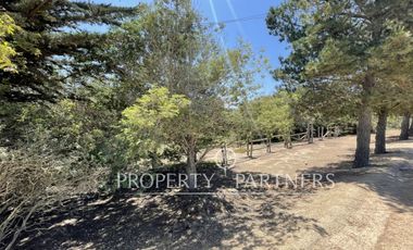 Algarrobo, Hermoso Terreno Urbanizado