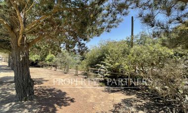 Algarrobo, Hermoso Terreno Urbanizado