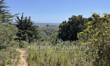 Algarrobo, Hermoso Terreno Urbanizado