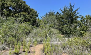 Algarrobo, Hermoso Terreno Urbanizado