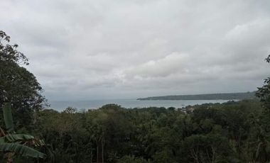 Oceanview Half Hectare Land in Samal