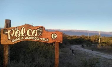 El Poleo Granja Agroecologica a 30 kms de Merlo San Luis