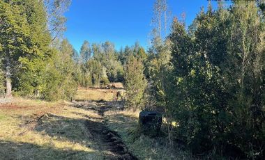 Agrícola en Venta en Maullin