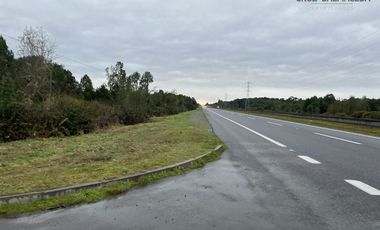 Agrícola en Venta en Maullin