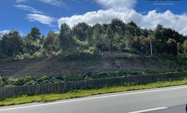 Agrícola en Venta en Maullin