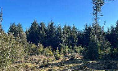 Agrícola en Venta en Maullin