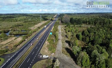 Agrícola en Venta en Maullin