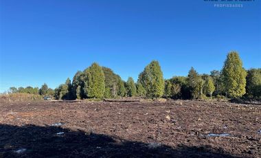 Agrícola en Venta en Maullin