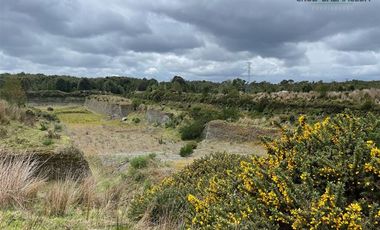 Agrícola en Venta en Maullin