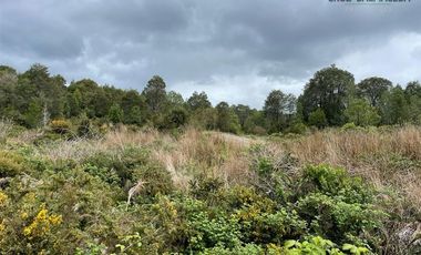 Agrícola en Venta en Maullin