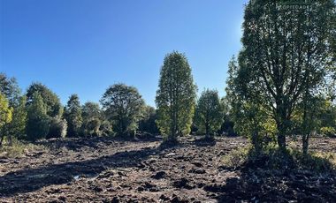 Agrícola en Venta en Maullin