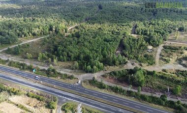 Agrícola en Venta en Maullin