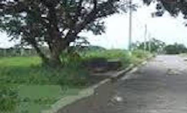 Lot for Sale in Greenmeadows Subdivision, Pasig City