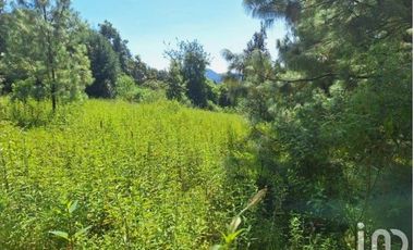 Venta de Terreno en San Simón El Alto, Valle de Bravo, Edo. de México