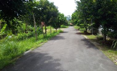 2444 M2 Tanah Kebun Jeruk, Green House Buah Tin dan Kolam Ikan, Bonus Rumah, Mekarsari, Ngamprah, Bandung Barat