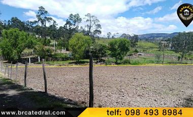 Terreno de venta en chuquipata el Rosal del Carmen – código:12614