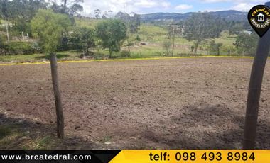 Terreno de venta en chuquipata el Rosal del Carmen – código:12614