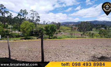 Terreno de venta en chuquipata el Rosal del Carmen – código:12614