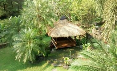 Rumah Murah Luas 600 m Di Sentul City Bogor