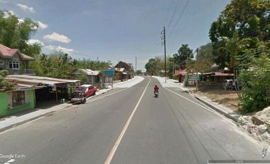 20 hectare raw land along national hiway in Bauan Batangas