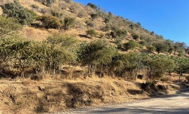 Parcela en venta en Curacaví
