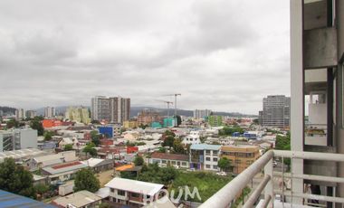 Departamento Anibal pinto ID: 117549r